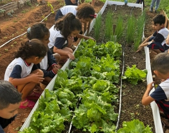 Horta escolar coloca alunos como protagonistas em projeto de educação ambiental