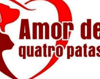Amor de Quatro Patas necessita de ajuda