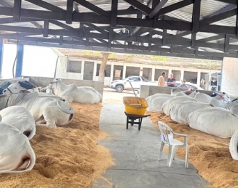 Avaré recebe EXPONEL 2026 e reforça protagonismo no agronegócio