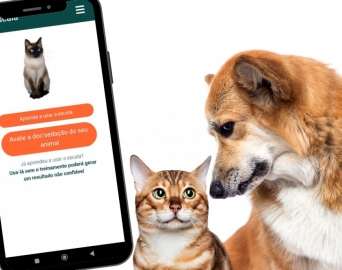 Aplicativo gratuito criado por pesquisadores pode identificar dor em Cães e Gatos