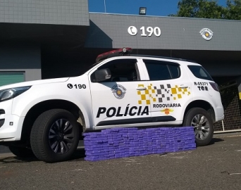 Casal é preso em rodovia transportando 260 tijolos de maconha