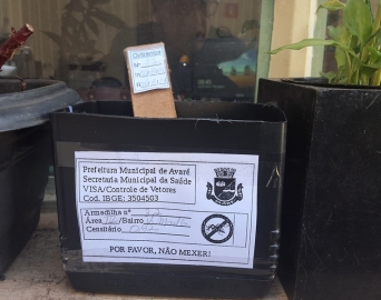 Vigilância Sanitária instala armadilhas para captura de ovos do Aedes aegypti