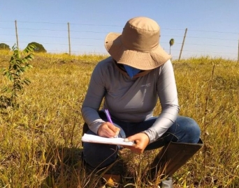 Novos estudos arqueológicos foram realizados em Avaré