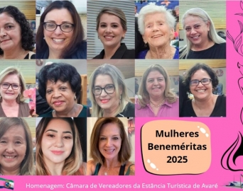 Câmara promoveu sessão solene para entrega do título de Mulher Benemérita
