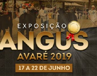 Melhoramento de bovinos meio-sangue é foco de curso em Avaré