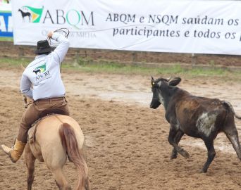 Audiência discute nesta quarta, lei que regulamenta provas com animais