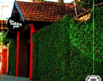 The Bulldog Pub inaugura nesta quinta-feira