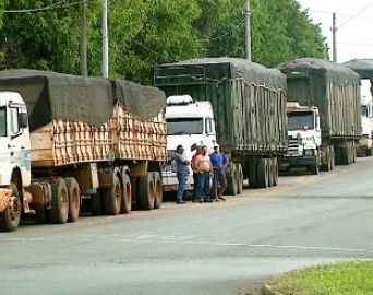Caminhoneiros transportadores de laranja iniciam paralisação