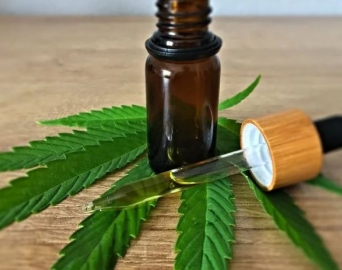 Cannabis medicinal estará disponível no SUS a partir de maio em SP