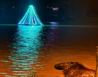 Natal sustentável transforma o Horto Florestal em atração noturna até as 22h