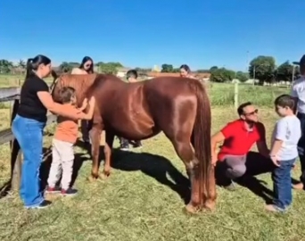 Prefeitura esclarece sobre o Projeto de Equoterapia no Recinto da EMAPA
