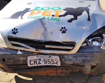 Acidente com carro impede Ong de socorrer animais em Avaré