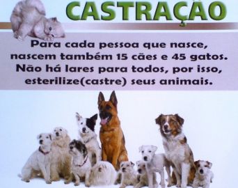 Ernesto Albuquerque pede audiência pública para tratar da castração de animais