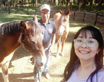 Ladrões furtam um cavalo e uma égua da Fundação Padre Emílio