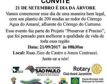 Dia da Árvore em Avaré será comemorado com plantio de 200 mudas