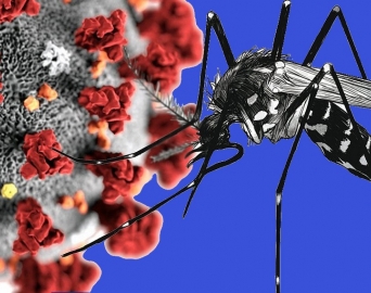 Saúde divulga boletim atualizado sobre casos de Dengue e Covid em Avaré