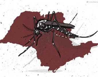 Governo decreta estado de emergência para dengue em São Paulo