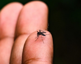 Avaré registra mais de 1000 casos confirmados de dengue em 2024