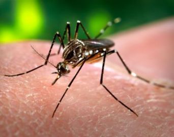 Visa realiza reunião para discutir ações de combate a dengue