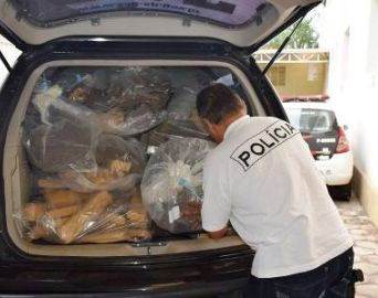 Polícia Civil incinera mais de 290 quilos de drogas