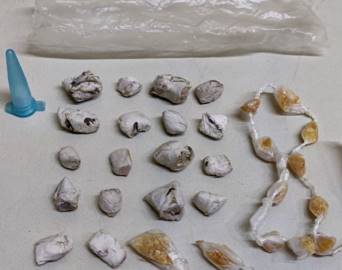 Funcionário do tráfico é preso com crack e cocaína no Bonsucesso