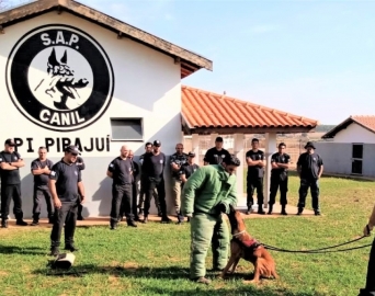 Adestradores e cães de Avaré participam de Encontro Cinotécnico da CRN