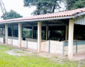 Campo de bocha e pista de skate do Ipiranga recebem melhorias