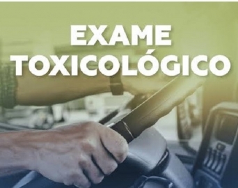 Mais de 80% dos motoristas profissionais ainda não fizeram exame toxicológico