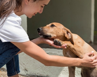 Secretaria prorroga até dia 5 prazo para cadastramento de entidades e voluntários