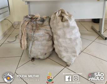 Casal é preso em flagrante furtando laranja na área rural de Avaré