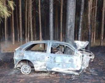 Motorista morre carbonizado após carro bater em árvore e pegar fogo