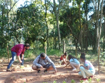Projeto do Meio Ambiente cria horta orgânica no Horto Florestal