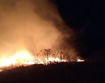 Incêndio atinge terreno particular em Avaré