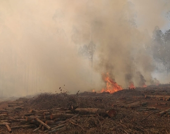 Incêndio consome grande área verde em Taquarituba 