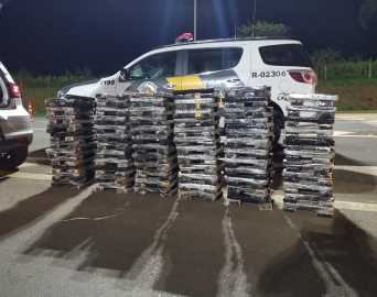 Polícia Rodoviária apreende mais de 200 kg de maconha em rodovia da região
