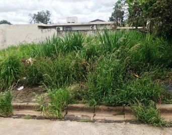 Terreno com mato alto e sem calçada pode gerar multa