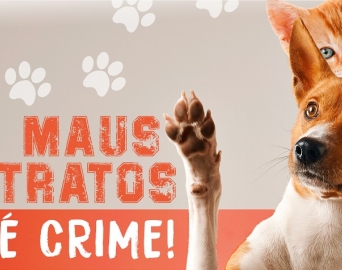 Projeto obriga estabelecimentos veterinários a comunicar maus-tratos