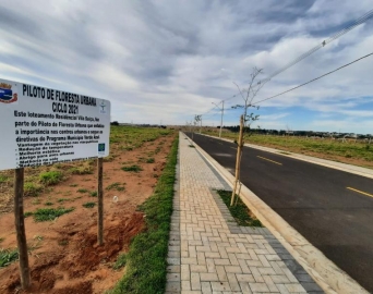 Avaré passa a contar com novo piloto de Floresta Urbana