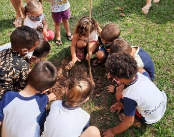 Dia da Árvore é celebrado com plantio de mudas em Avaré