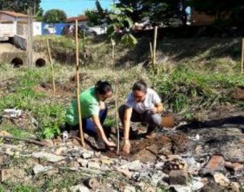 Córrego do Curtume recebe plantio de árvores em seu entorno
