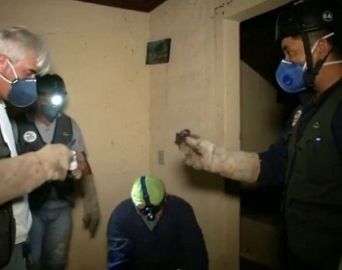 Região de Avaré tem mutirão pra combater transmissão da raiva animal