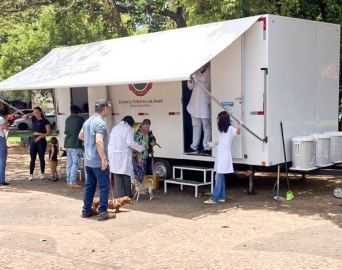 Vacinação antirrábica em Avaré chega a mais de 4,7 mil pets em 2025