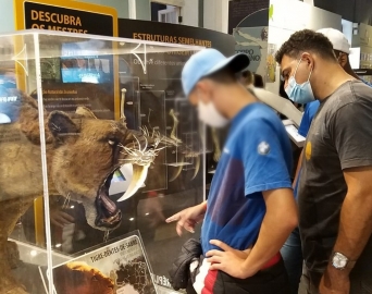 Jovens do CASA Cerqueira César visitam museu na capital paulista 