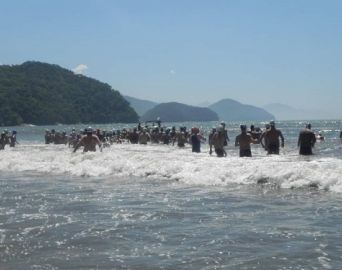 Natação avareense conquista 2º lugar em maratona de Ubatuba