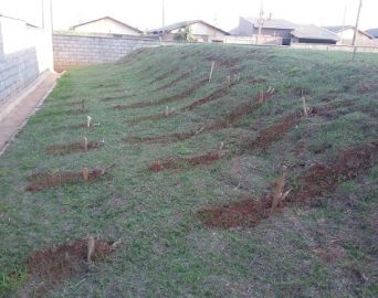 Parceria cria horta orgânica em unidade de ensino infantil