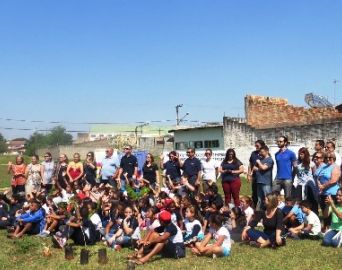 Rotarianos e voluntários plantam árvores em Avaré