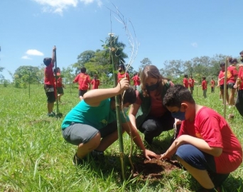 Alunos de projeto social participam do plantio de mudas nativas no Horto