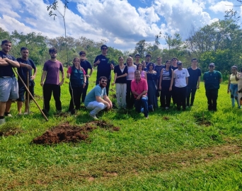 Avaré inicia projeto de arborização com participação de estudantes