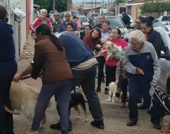 Avaré realiza nova etapa da vacinação antirrábica no dia 27