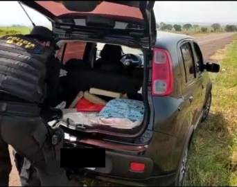 Casal de Avaré é preso com mais de 60 quilos de maconha no Mato Grosso